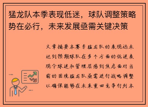 猛龙队本季表现低迷，球队调整策略势在必行，未来发展亟需关键决策