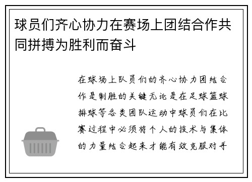 球员们齐心协力在赛场上团结合作共同拼搏为胜利而奋斗