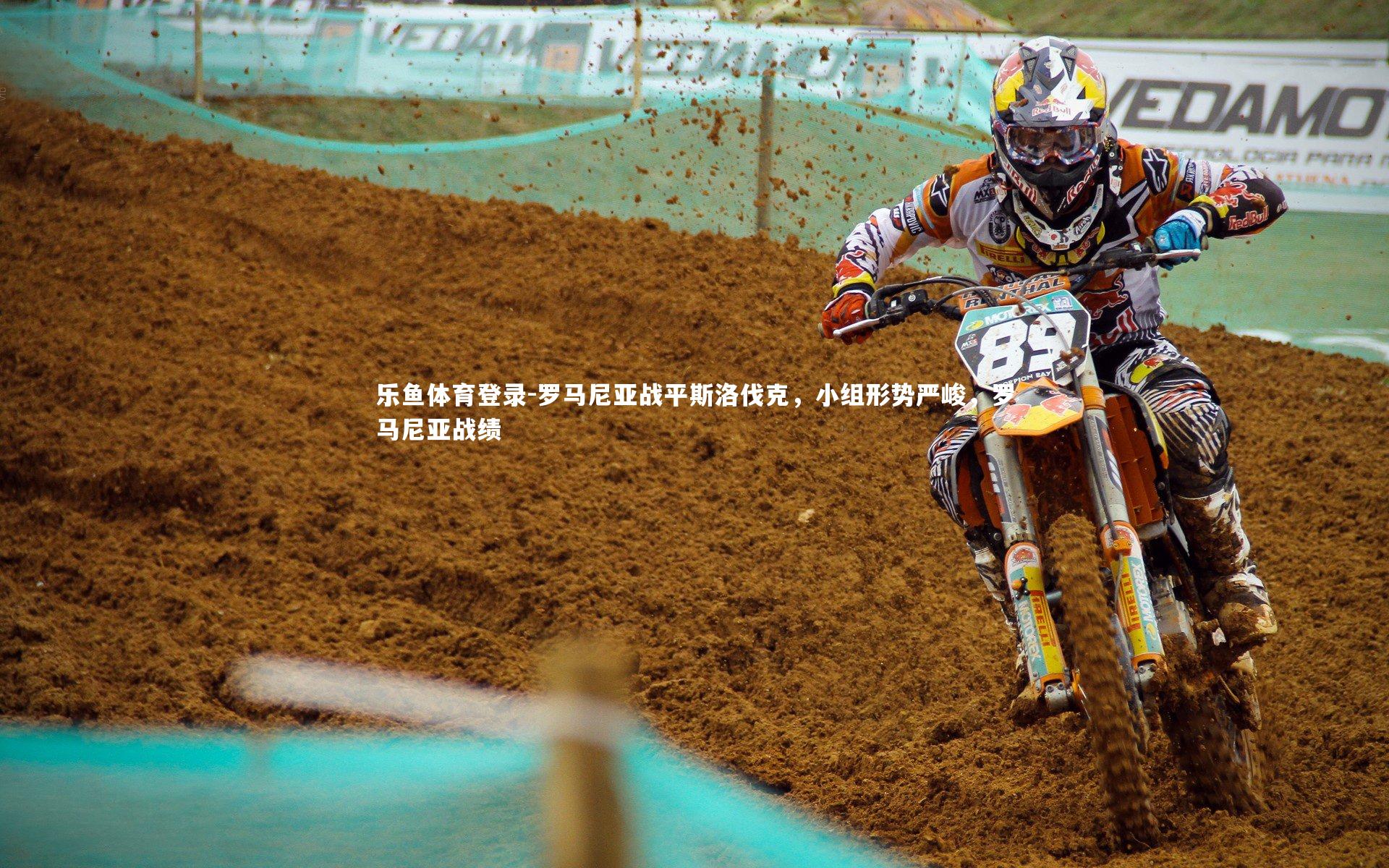 罗马尼亚战平斯洛伐克,小组形势严峻,罗马尼亚战绩