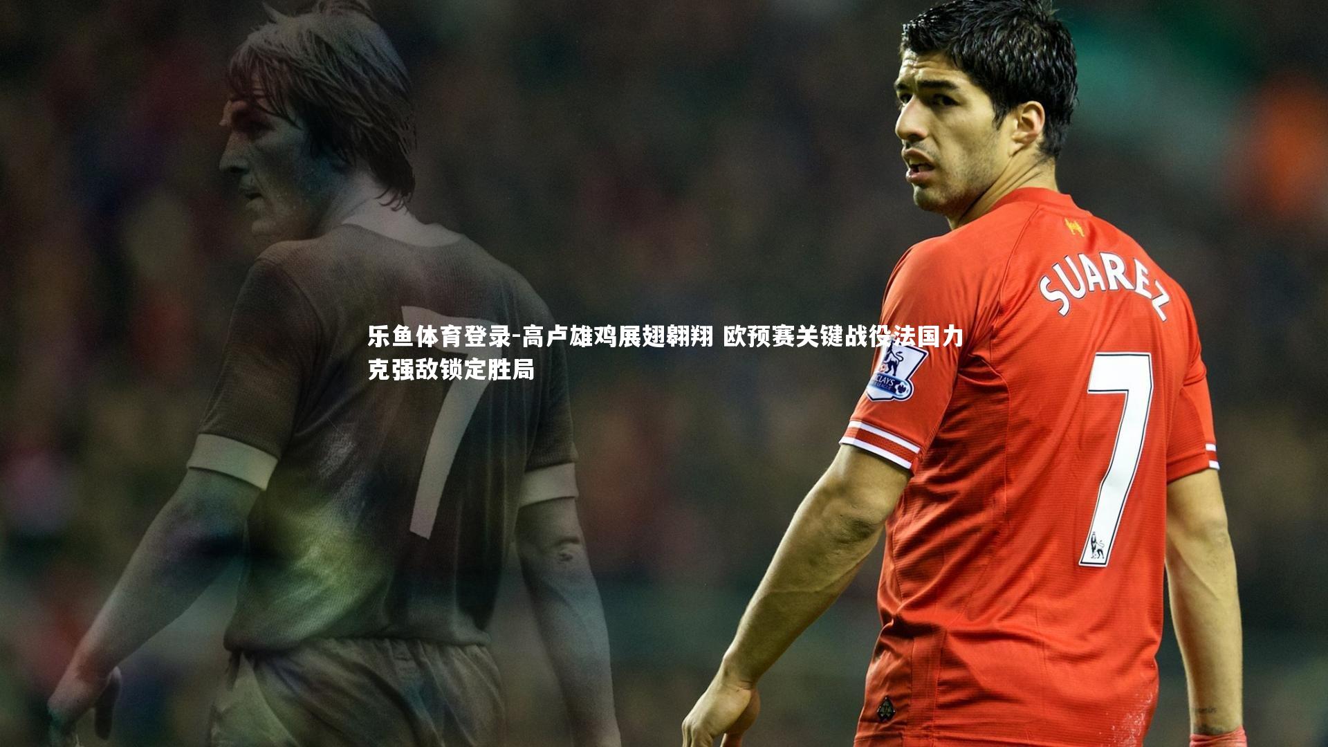 高卢雄鸡展翅翱翔 欧预赛关键战役法国力克强敌锁定胜局